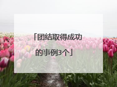 团结取得成功的事例3个