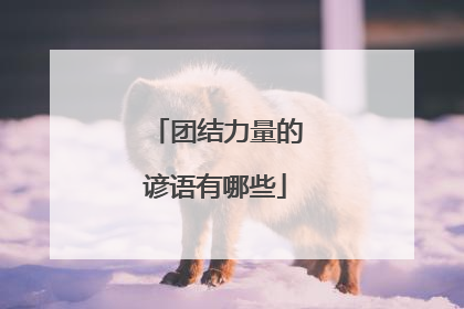 团结力量的谚语有哪些