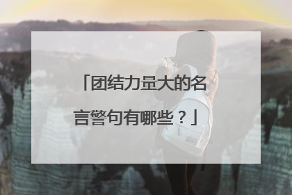 团结力量大的名言警句有哪些?