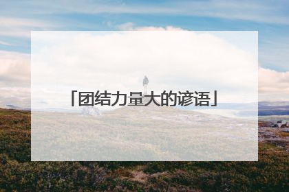 团结力量大的谚语