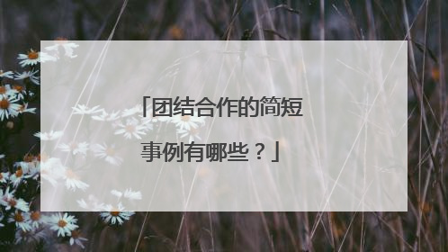 团结合作的简短事例有哪些？