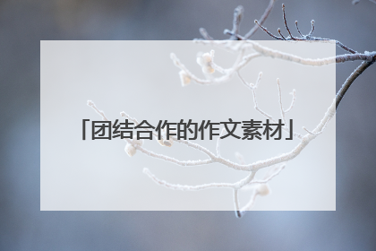 团结合作的作文素材