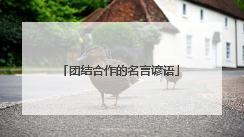 团结合作的名言谚语