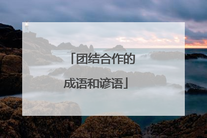 团结合作的成语和谚语