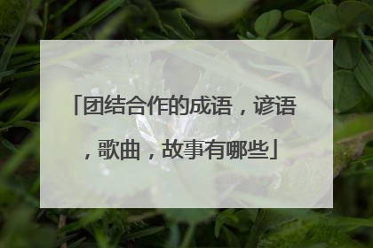 团结合作的成语，谚语，歌曲，故事有哪些