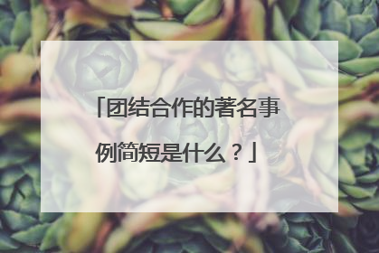 团结合作的著名事例简短是什么?