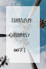 团结合作心得感悟700字
