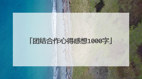 团结合作心得感想1000字