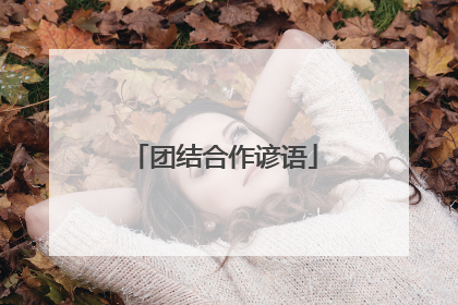 团结合作谚语