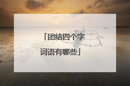 团结四个字词语有哪些