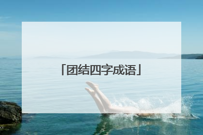 团结四字成语