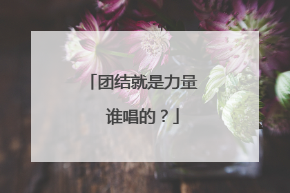 团结就是力量 谁唱的?