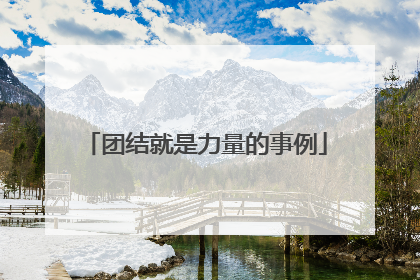 团结就是力量的事例