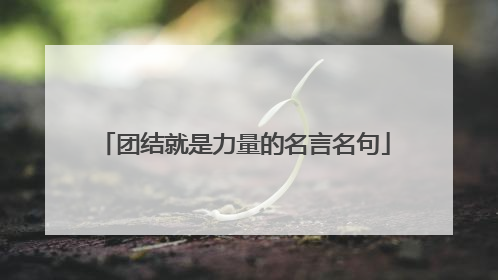 团结就是力量的名言名句