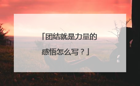 团结就是力量的感悟怎么写?