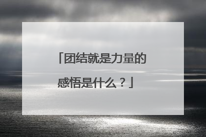 团结就是力量的感悟是什么？