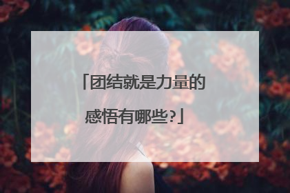 团结就是力量的感悟有哪些?
