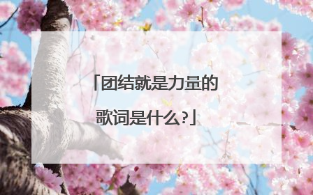 团结就是力量的歌词是什么?