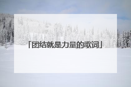 团结就是力量的歌词