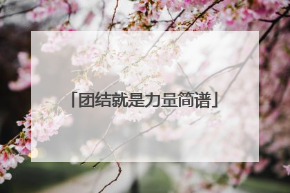 团结就是力量简谱