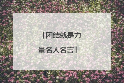 团结就是力量名人名言