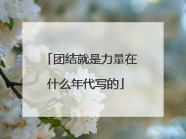 团结就是力量在什么年代写的