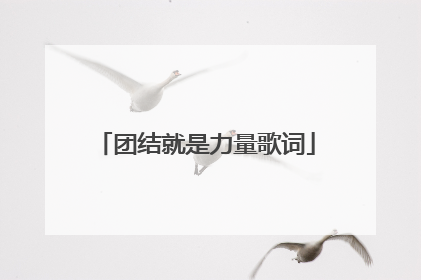 团结就是力量歌词