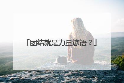 团结就是力量谚语？