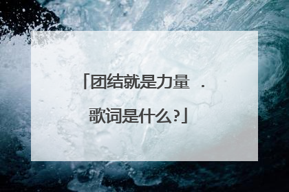 团结就是力量 . 歌词是什么?
