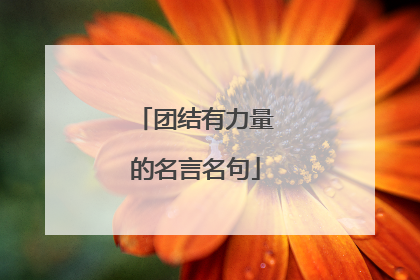 团结有力量的名言名句