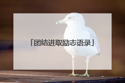 团结进取励志语录