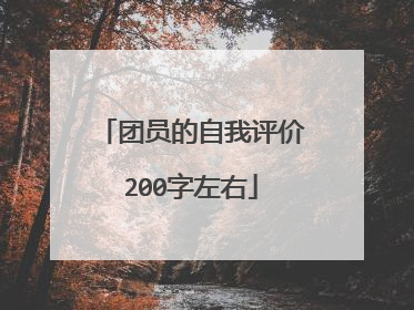团员的自我评价200字左右