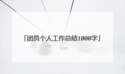 团员个人工作总结1000字