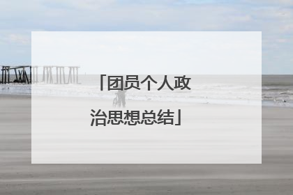 团员个人政治思想总结