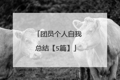 团员个人自我总结【5篇】