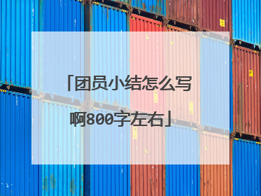 团员小结怎么写啊800字左右