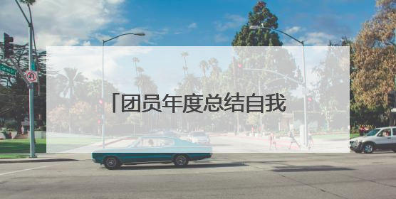 团员年度总结自我评价500字5篇