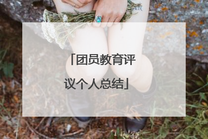 团员教育评议个人总结