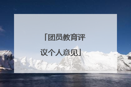 团员教育评议个人意见