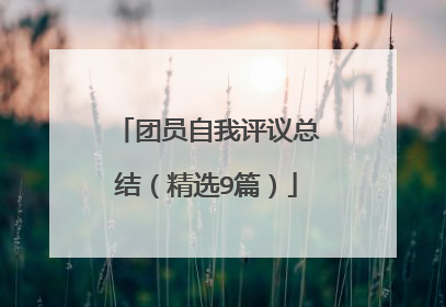 团员自我评议总结（精选9篇）