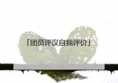 团员评议自我评价