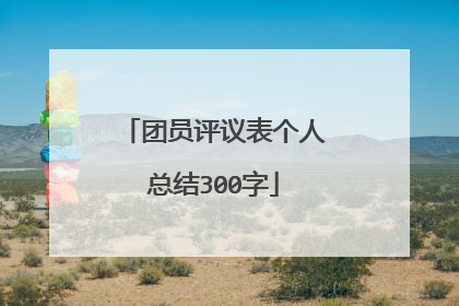 团员评议表个人总结300字