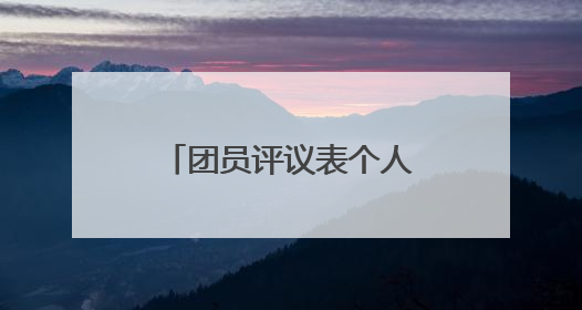 团员评议表个人总结500字