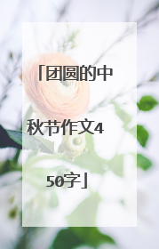 团圆的中秋节作文450字