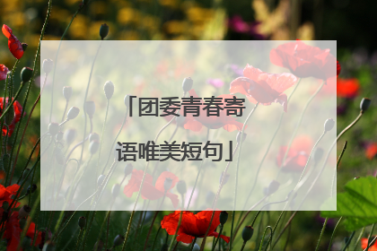 团委青春寄语唯美短句