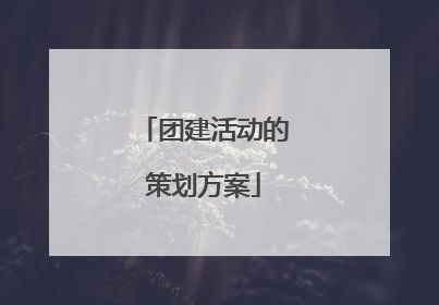 团建活动的策划方案