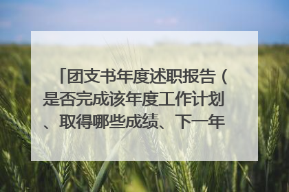 团支书年度述职报告（是否完成该年度工作计划、取得哪些成绩、下一年准备如何开展工作等方面，3-5分钟