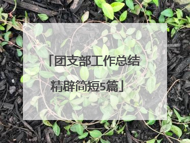 团支部工作总结精辟简短5篇
