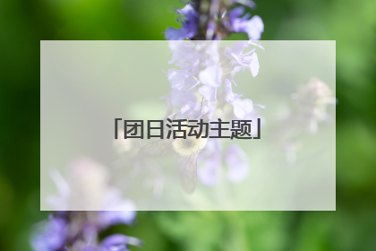 团日活动主题