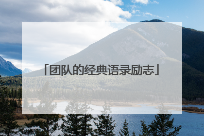 团队的经典语录励志